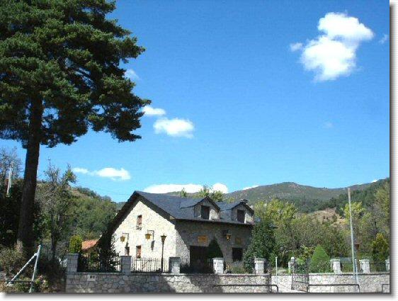 Diapositiva siguiente