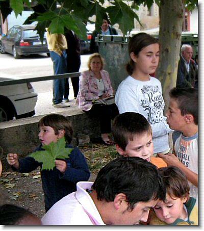 Diapositiva siguiente