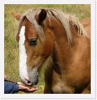 0222 * la generosidad se traduce en lo esplndido y magnfico. Lo avaro es la tristeza en un espritu sepultado