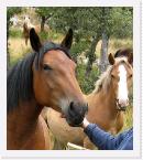 I80000 * no te envidio, slo espero mi turno, valgo mucho