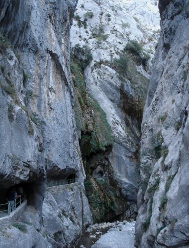 Diapositiva siguiente