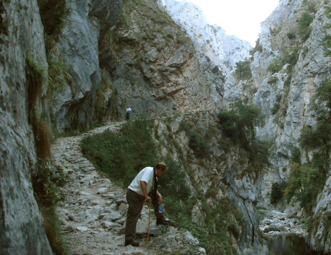 Diapositiva siguiente