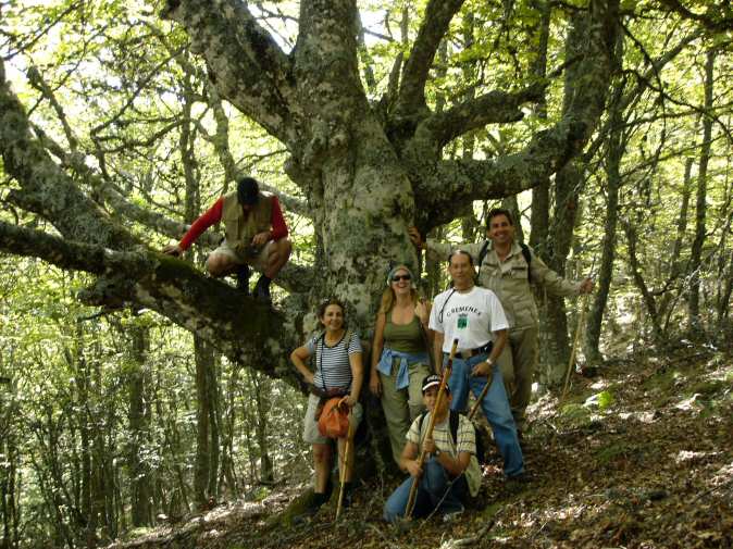 Diapositiva siguiente