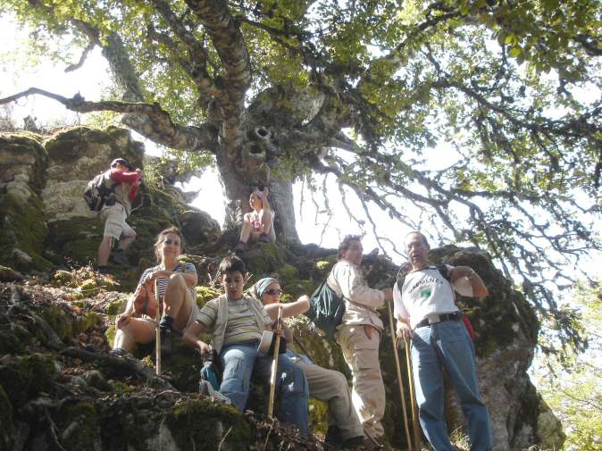 Diapositiva siguiente