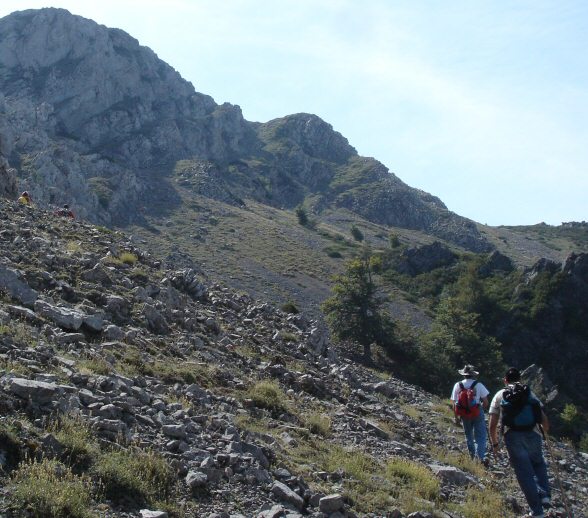 Diapositiva siguiente