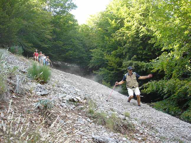 Diapositiva siguiente