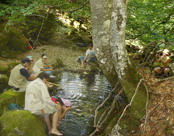 Diapositiva siguiente