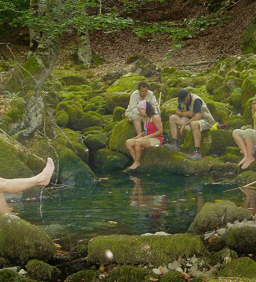 Diapositiva siguiente