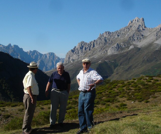 Diapositiva siguiente